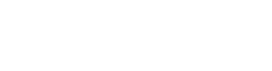 Logo-ID-Vision-02-scaled